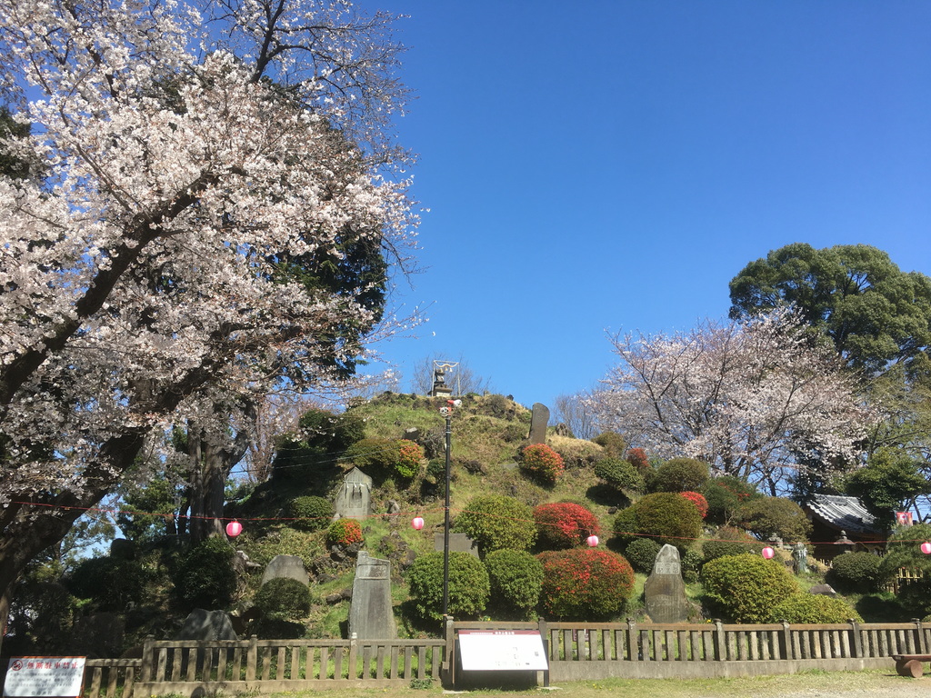 国指定重要有形民俗文化財「田子山富士塚」の魅力発信